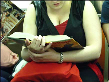 Harry Potter subway reader